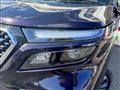 2021 Mitsubishi Delica D2