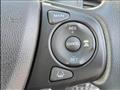 2019 Honda Freed+