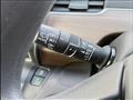 2019 Honda Freed+