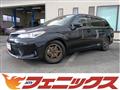 2019 Toyota Corolla Fielder