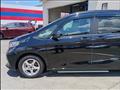 2022 Honda Freed+