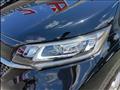 2022 Honda Freed+