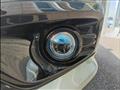 2022 Honda Freed+