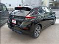 2020 Nissan Leaf
