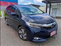 2019 Honda Shuttle