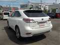 2013 Lexus RX
