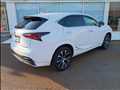 2015 Lexus NX