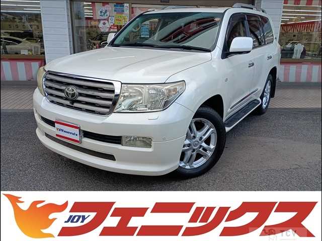 2010 Toyota Land Cruiser