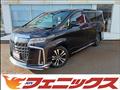 2020 Toyota Alphard