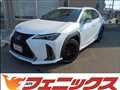 2019 Lexus UX