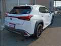 2019 Lexus UX