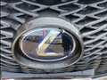 2019 Lexus UX