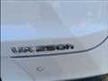 2019 Lexus UX