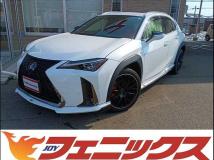 2019 Lexus UX