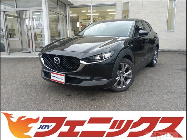 2019 Mazda CX-30