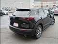 2019 Mazda CX-30