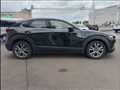 2019 Mazda CX-30