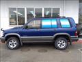 1998 Isuzu Bighorn