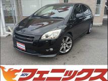 2010 Toyota Mark X Zio