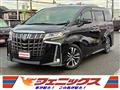 2020 Toyota Alphard