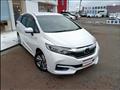 2019 Honda Shuttle