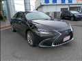 2023 Lexus ES