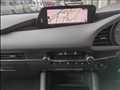 2019 Mazda Mazda Others