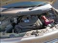 2013 Suzuki Lapin