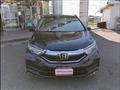 2019 Honda Shuttle