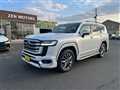 Toyota/Land Cruiser