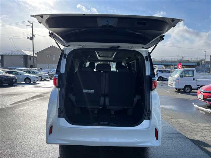 Toyota Alphard Hybrid 2025 — миниатюра 9