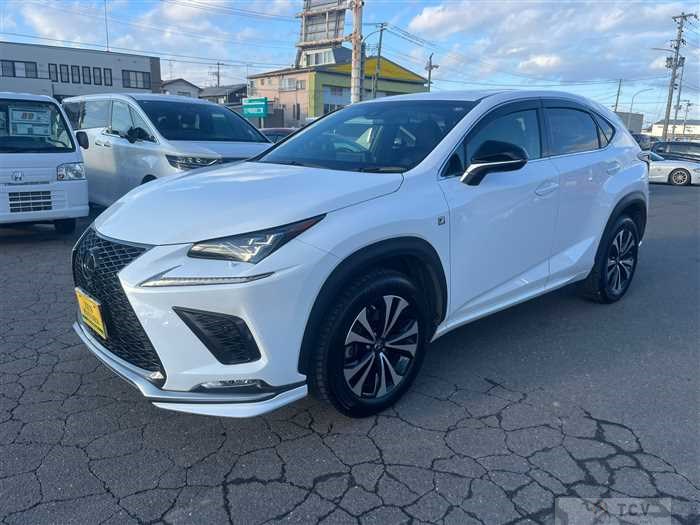 2018 Lexus NX
