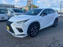 2018 Lexus NX