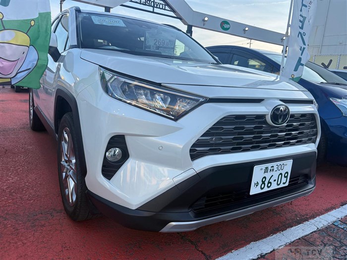 2019 Toyota RAV4