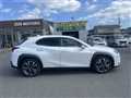 2024 Lexus UX