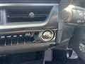 2024 Lexus UX