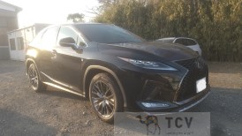 2020 Lexus RX