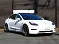 2020 Tesla Motors Others