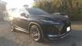 2020 Lexus RX