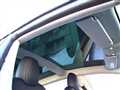 2020 Tesla Motors Others