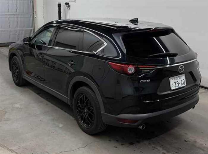 Mazda Cx-8 2019 photo 2