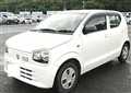 2019 Suzuki Alto