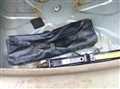 2005 Toyota Raum