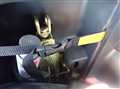 2001 Honda Stream