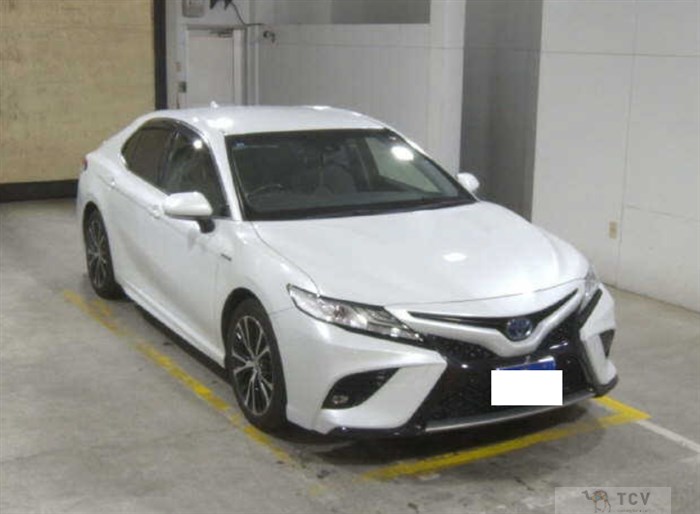 2019 Toyota Camry Hybrid