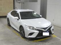 2019 Toyota Camry Hybrid